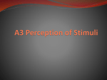 A.3: Perception of Stimuli