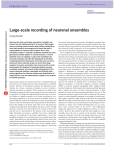 Large-scale recording of neuronal ensembles