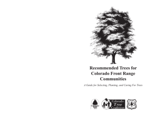 Recommended Trees for Colorado Front Range Communities