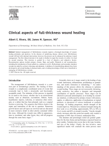 Clinical aspects of full-thickness wound healing