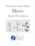 A Key to Common Native Aquatic Plant Species