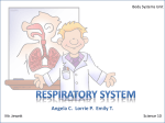 Respiratory System - Mr. Jewett (Main Page)