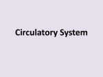Circulatory System 63. Circulatory System