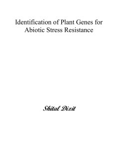 Identification of Plant Genes for Abiotic Stress Resistance