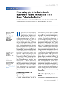 Echocardiography in the Evaluation of a Hypertensive Patient: An