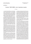 "Intrinsic" PEEP (PEEPi): role of expiratory muscles