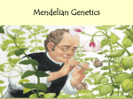 Genetics: The Work of Gregor Mendel