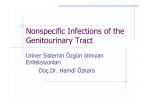 Nonspecific Infections of the Genitourinary Tract