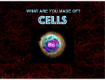 Cells Part 2