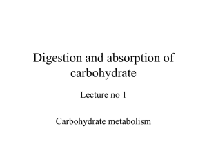 digestion and absorption of carbohydrate