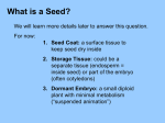 Seed Coat