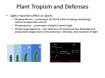 Plant Tropism and Defenses