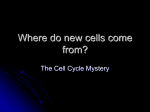 Where do new cells come from?