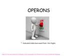 operons operons operons