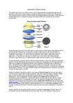 Introduction to Phase Contrast