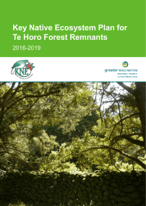Key Native Ecosystem Plan for Te Horo Forest Remnants