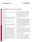 Streptococcus pneumoniae Technical Sheet | Charles River