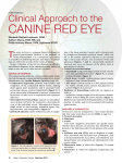 CAnine Red eye - Today`s Veterinary Practice