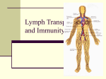 Lymphatic system