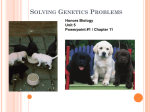 Solving Genetics Problems