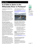 Is it Safe to Swim in the Willamette River in Portland?