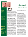Giardiasis in Alberta - Alberta Environment and Parks