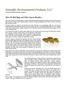 how-do-insects-breath - scientific enviornmental products