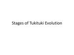 Stages of Tukituki Evolution
