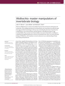 Wolbachia: master manipulators of invertebrate biology