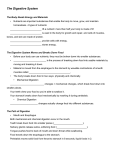 The Digestive System Guided Notes
