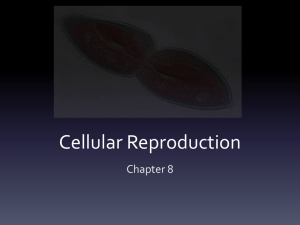 Cellular Reproduction