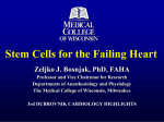 Stem Cells for the Failing Heart