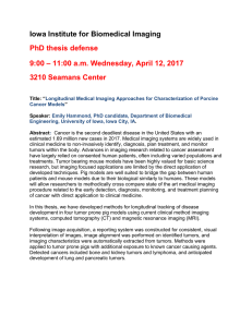 Iowa Institute for Biomedical Imaging PhD thesis defense 9:00 – 11