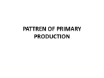 PATTREN OF PRIMARY PRODUCTION