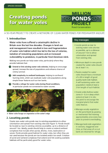 Creating ponds for water voles