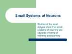 Small System of Neurons