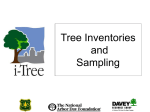 Application I - i-Tree