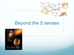 beyond the 5 senses – nervous system-lesson 2