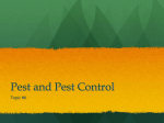 Pest and Pest Control
