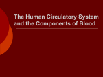 Blood Components - This area is password protected