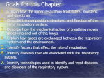 Chapter 7: Respiratory System