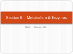 enzymes - charlestonbiology