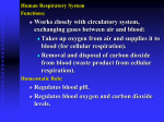 Respiratory System