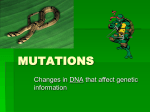 mutations - Sites@UCI