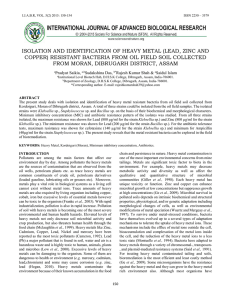 ISOLATION AND IDENTIFICATION OF HEAVY METAL (LEAD, ZINC