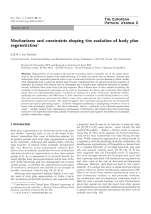 Mechanisms and constraints shaping the evolution of body plan