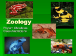 Zoology - Central Lyon CSD