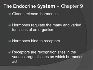 The Endocrine System - respiratorytherapyfiles.net