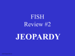 Fish Jeopardy #2