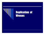 Replication of Viruses